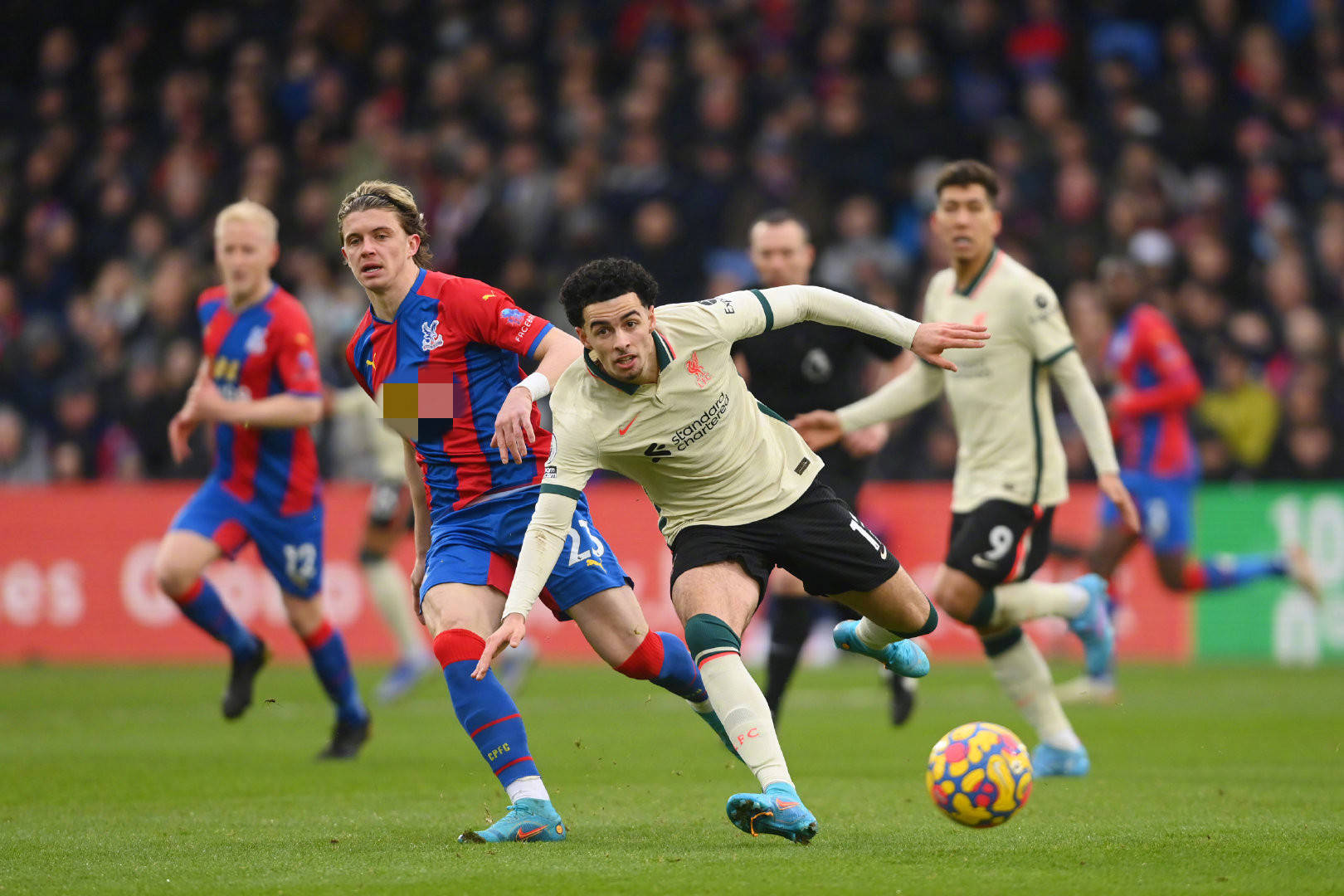 專注和清晰 專注和清晰